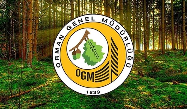 OGM’den ‘OTAĞ kurdu, yerinden kıpırdamadı’ başlıklı habere yalanlama