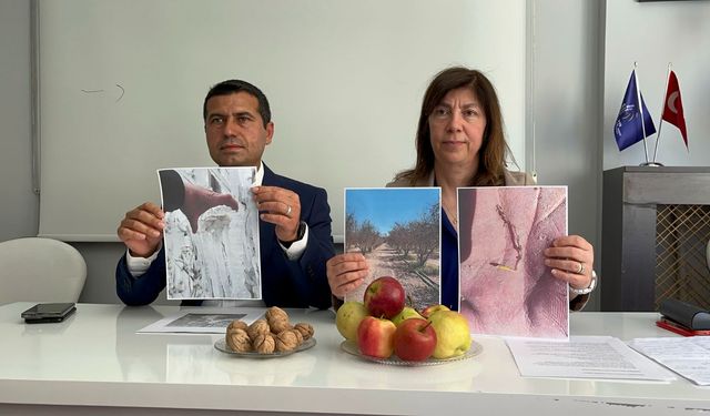 Eskişehir’de afet düzeyinde zirai don: “Meyve ağaçlarının yüzde 90’ı dondan yandı”