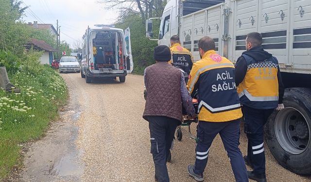 Bilecik'te kamyonlar çarpıştı: Sürücülerden biri yaralandı!
