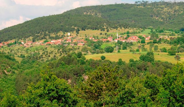 Eskişehir'in komşusunda süre uzatıldı! Bu tarihe kadar yasak olacak