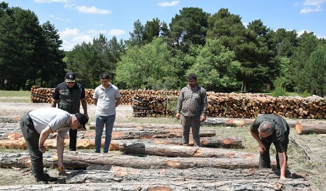 Eskişehir'de ormancılık faaliyetleri yerinde incelendi