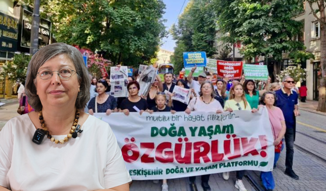 Eskişehir Bilecik Tabip Odası Başkanı: “Zeytinlikleri taşımak insanları göçe zorlamaktır”