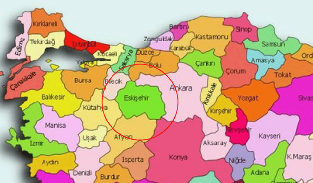 Eskişehir'de sayıları giderek arttı! Şehrin her yerindeler...
