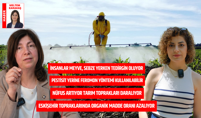 Soframızdaki tehdit pestisit: “Devlet hem denetlemeli hem bilgilendirmeli”