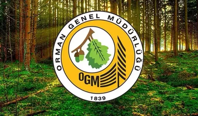 "Tasarruf tedbirleri nedeniyle yangınlarla mücadelede yetersiz kalındığı haberleri gerçeği yansıtmıyor"