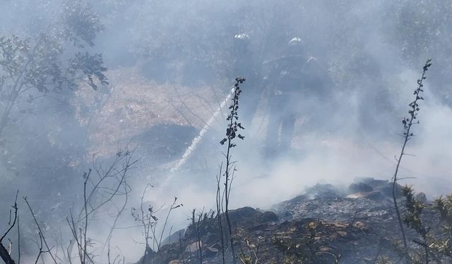 Komşuda panik anları: Trafodan çıkan yangın otları tutuşturdu!