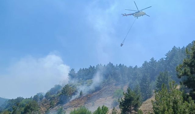Eskişehir'in komşusunda orman yangını korkuttu