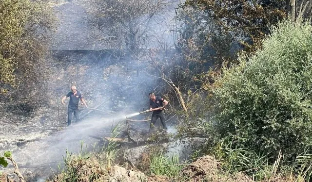 Komşuda çıkan orman yangınında soğutma çalışmaları tamamlandı