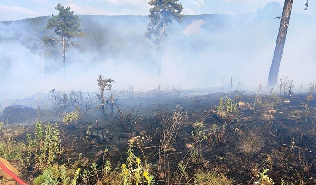 Kütahya'da gençleştirme sahasında çıkan orman yangını söndürüldü