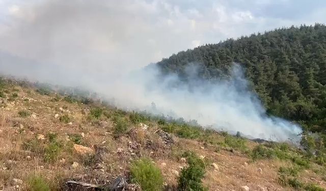 Eskişehir'in komşusunda aynı noktada ikinci yangın!