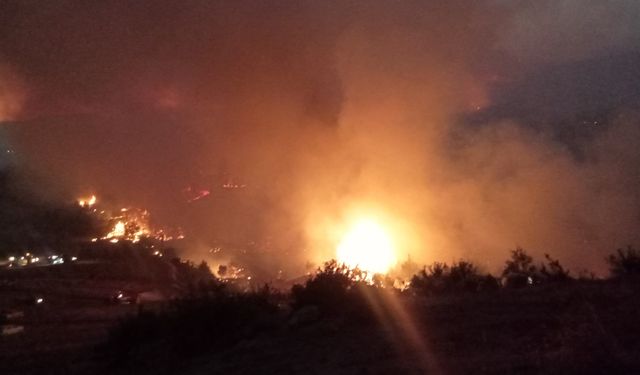 Eskişehir'in komşusu alev alev yanıyor: Son durum ne?