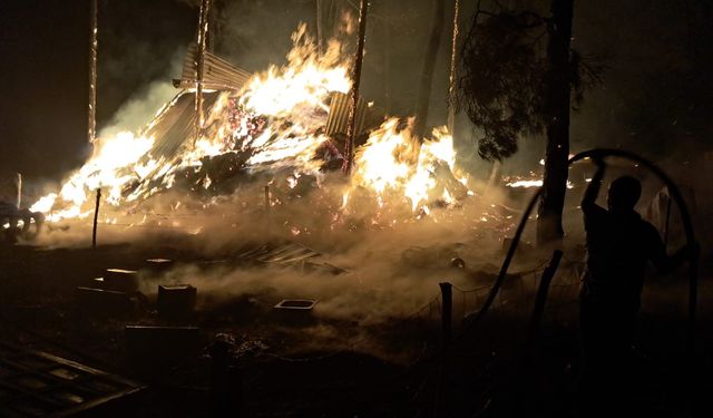 Eskişehir'in komşusu yandı! 95 hayvan telef oldu