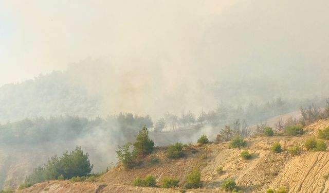 Tarihi İpek Yolu yanıyor