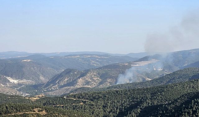 Komşudan güzel haber! Yangın kontrol altına alındı