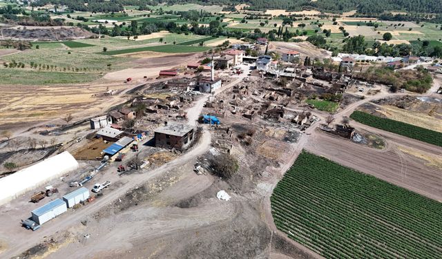 Komşudaki yangından şaşırtan görüntü: Köy kül oldu, cami içi zarar görmedi