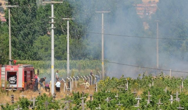 Türkiye yanıyor! Komşuda zamanında müdahale rahat nefes aldırdı