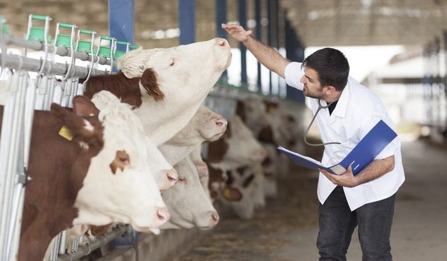 Veteriner hekim olmak isteyen öğrenciler bu habere aman dikkat