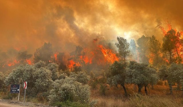 Eskişehir’e komşu o köy boşaltıldı! Patlama böyle önlendi