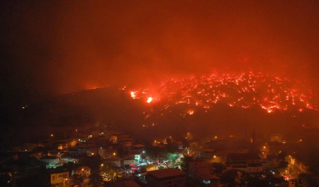 Yangın faciasının ardından korkunç tablo ortaya çıktı: İşte il il hasar listesi
