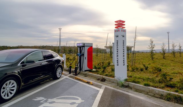 Elektrikli araç sahiplerine iyi haber: Bu firmalara rekor ceza kesildi