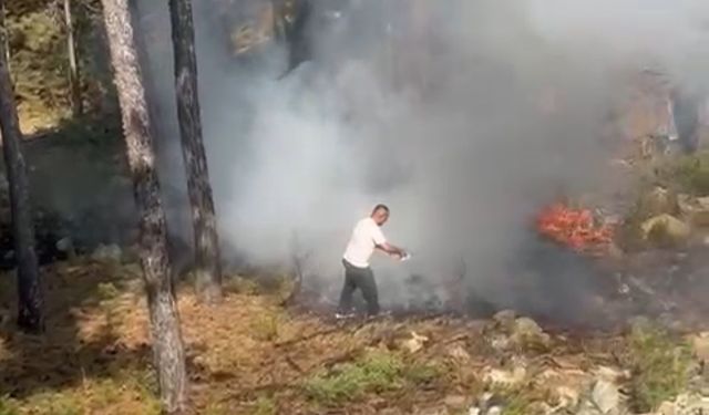 Orman yangını yeniden alevlendi: Vatandaş müdahale etti
