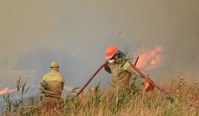 Orman Genel Müdürü Karacabey açıkladı: Yangınların yüzde 57’si orman dışı alanlarda başladı