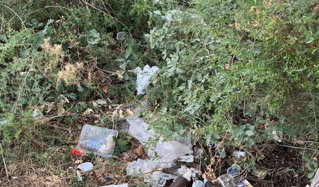Eskişehir'e yakın bölgedeki o yer çöplüğe döndü