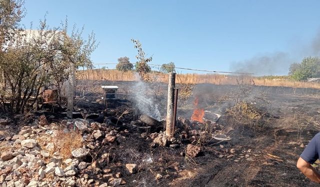 Komşuda tarlada çıkan yangın seraya sıçradı