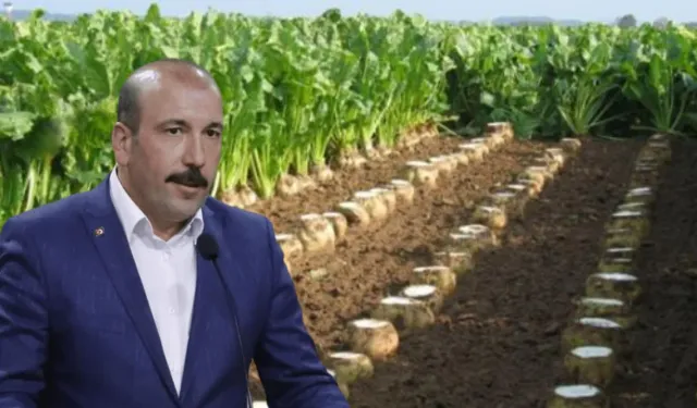 Seyitgazi Ziraat Odası’ndan pancar fiyatına tepki: “Çiftçimize bir şok daha yaşatıldı”