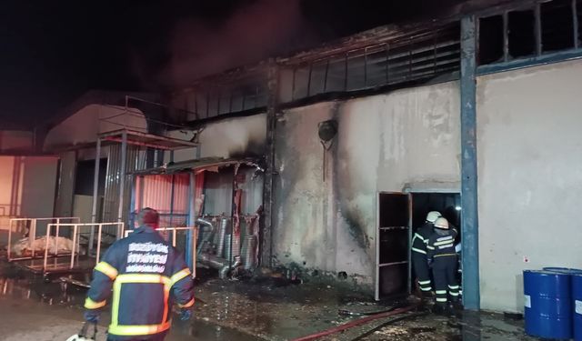 Bilecik'te gece yarısı yangın paniği