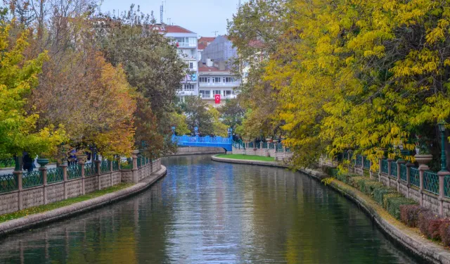 Sonbaharda artan polenler sağlığı tehdit ediyor
