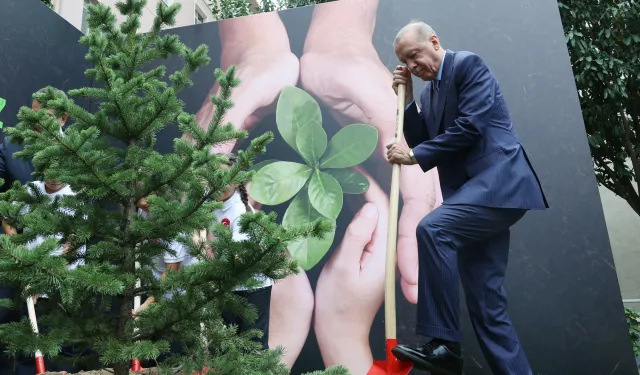 Cumhurbaşkanı Erdoğan fidan dikti