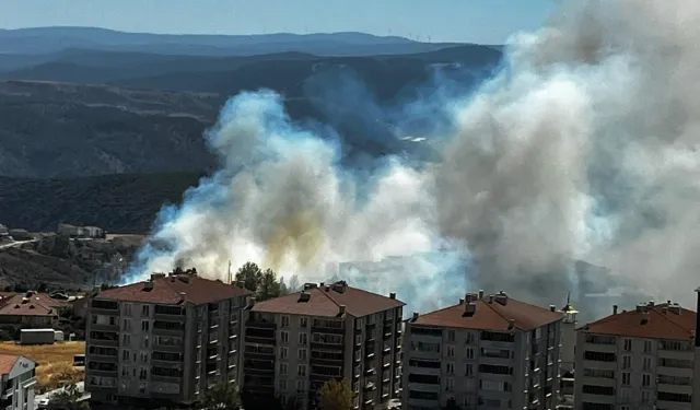 Salça ateşi yangına sebep oldu: 30 dönümlük arazi küle döndü