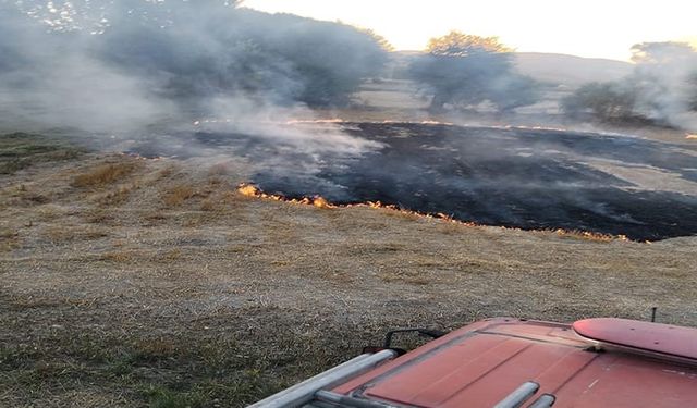 Komşudaki arazi ve anız yangınları kontrol altına alındı