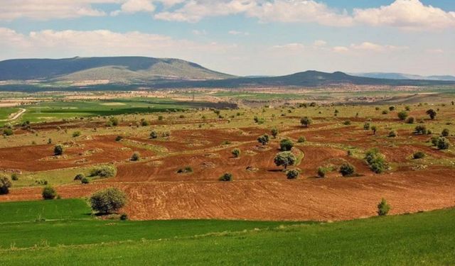 Eskişehir'de 20 taşınmaz için ihale gerçekleştirilecek