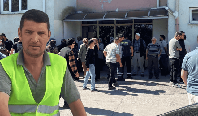 Acı son: Ceviz toplarken bir anda öldü