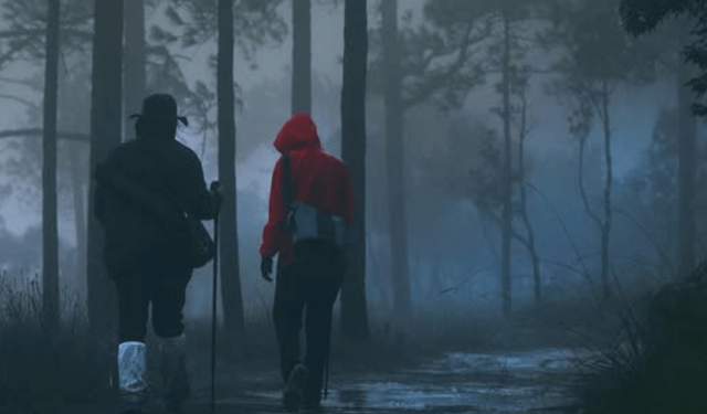 Eskişehirliler Kent Ormanı'nda gece yürüyüşüne çıkacak