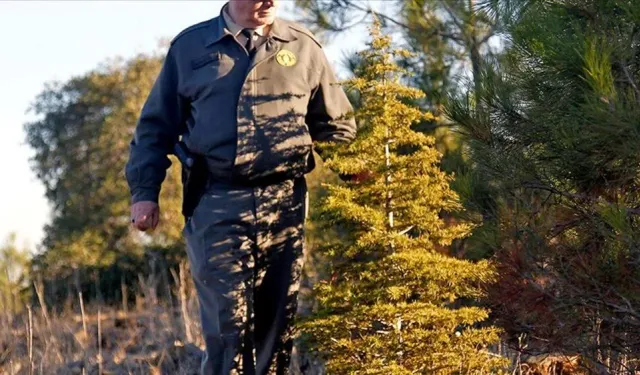 OGM personel alımı Eskişehir || Son başvuru ne zaman? Başvuru nasıl yapılır? Şartlar neler?