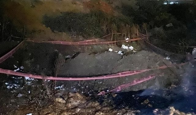 Bilecik'te orman yangını: Ekipler kısa sürede müdahale etti