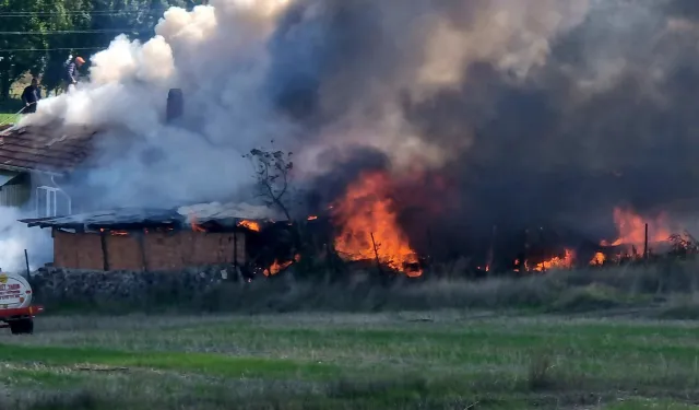 Komşuda alevler yükseldi: Cayır cayır yandı