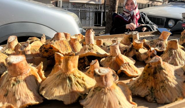 Bir yörenin gözdesi, tezgahta gören akın etti: Fiyatında düşüş bekleniyor