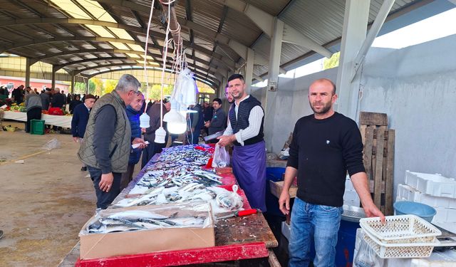 Hamsi ve sardalya bolluğu: Fiyatlar 150 TL’ye düştü