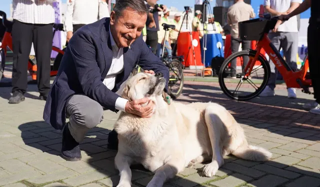 Başkan Ataç 4 Ekim Dünya Hayvanları Koruma Günü için mesajı yayımladı