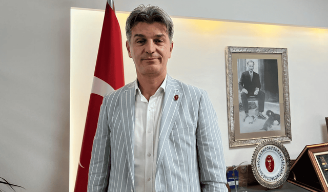 Eskişehir’de sokak hayvanları için kısırlaştırma seferberliği başlatılıyor