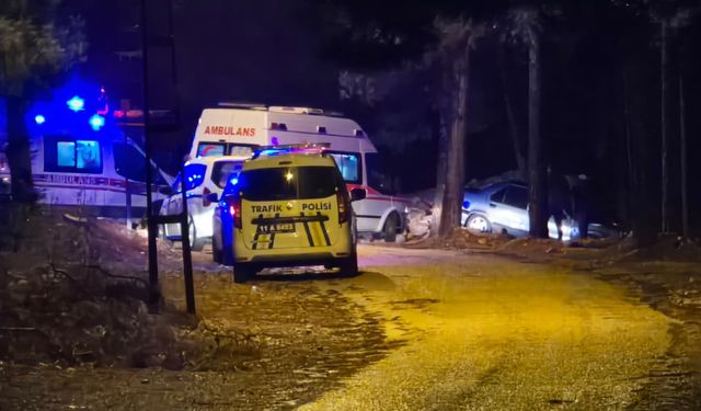 Kontrolden çıkan otomobil ağaca çarptı: 2 yaralı