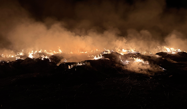 Komşuda toplanan kamışların depolandığı alanda yangın