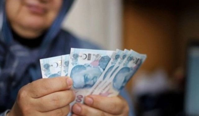 Ev hanımlarına iyi haber! Ek gelirleri bu sayede on binlerce lira olacak