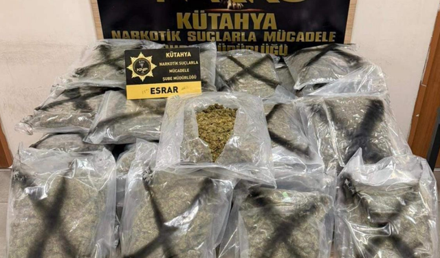 Komşuda bir kamyonda 33 kilo esrar ve 6,55 gram kokain ele geçirildi