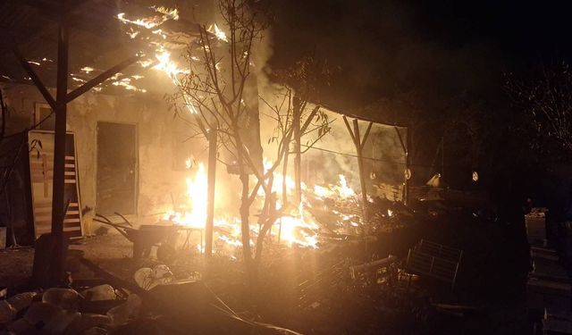 Bilecik’te arı kovanlarının bulunduğu sundurmada çıkan yangın paniğe yol açtı