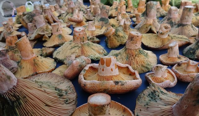 Tezgahlar bu lezzetle doldu: Kilosu 200 TL’ye kadar çıkıyor